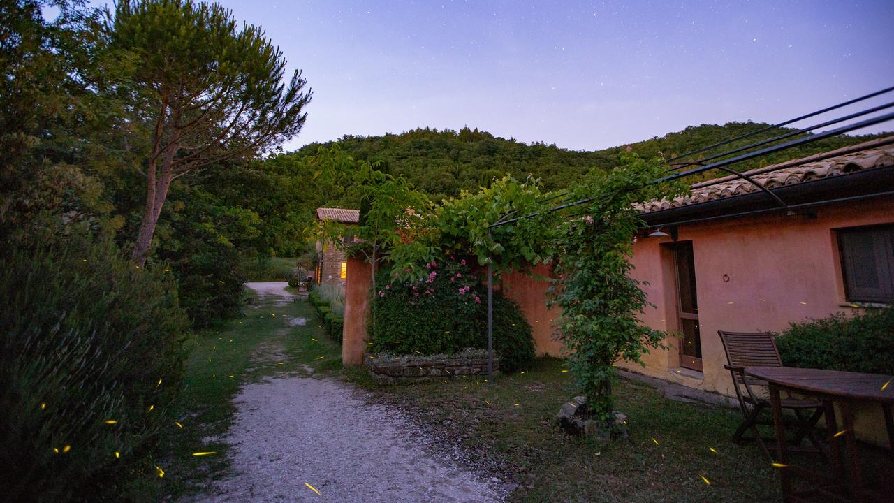 Casa Rosa Guest House Santa Maria Lignano Exterior foto